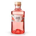Liqueur June Watermelon by Gvine 70cl